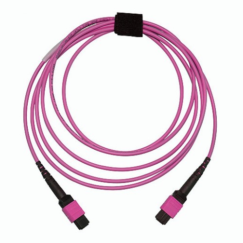 MTP® Erika Violet OM4 Cable
